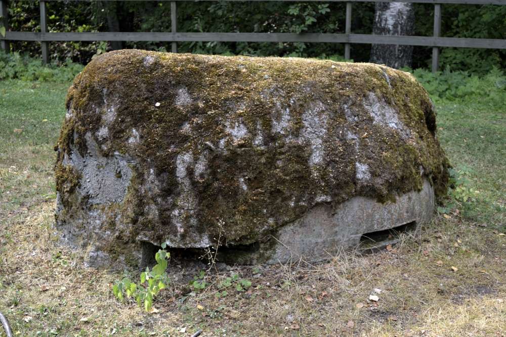 Kivi