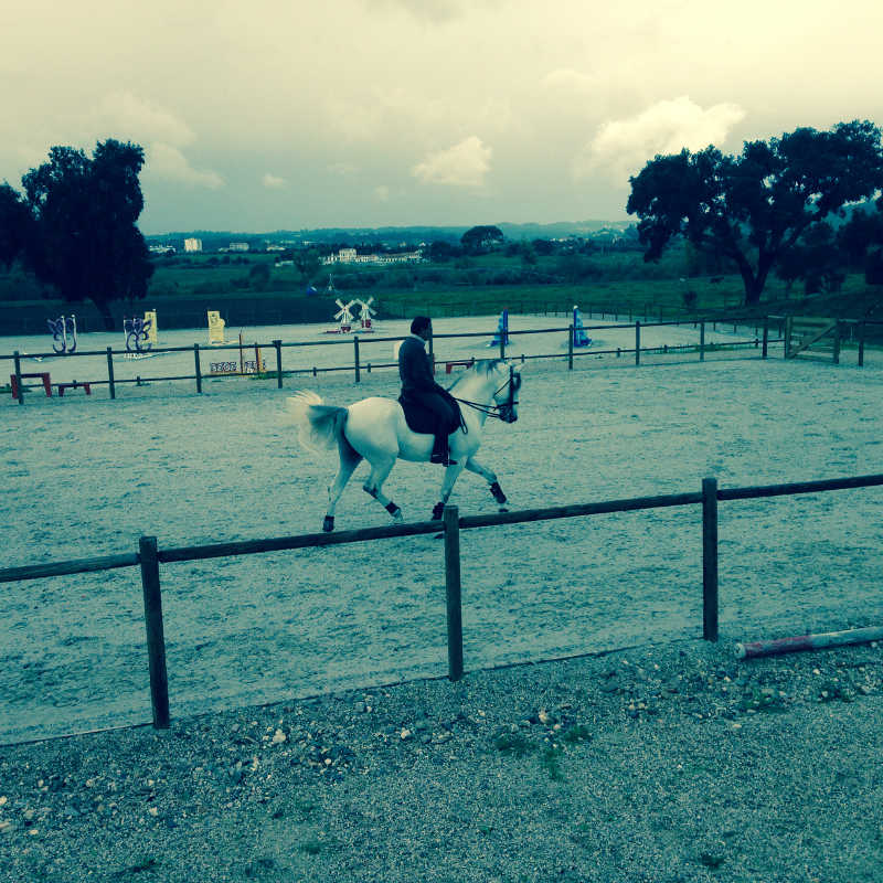 Lusitano koulu 3