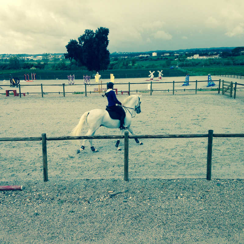 Lusitano koulu 4