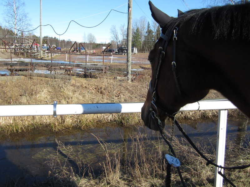 Ihmeellinen oja