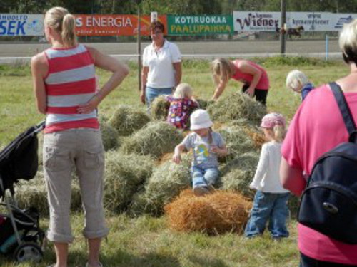 Meidän maaseutu, heinäkasa