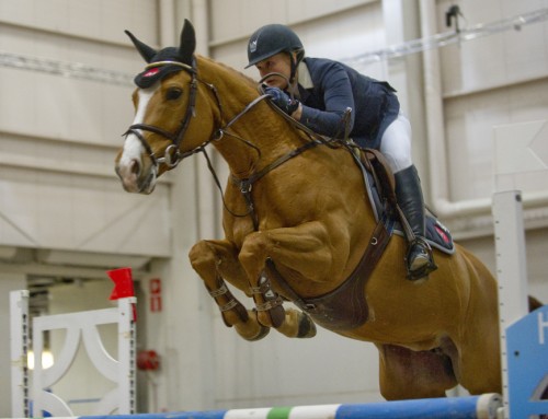 Helsinki Horse Fair CSI* on kansainvälisen luokan estekilpailu
