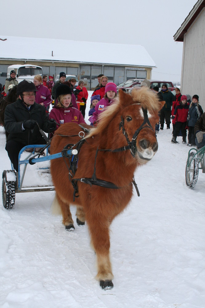 Kärryajelu