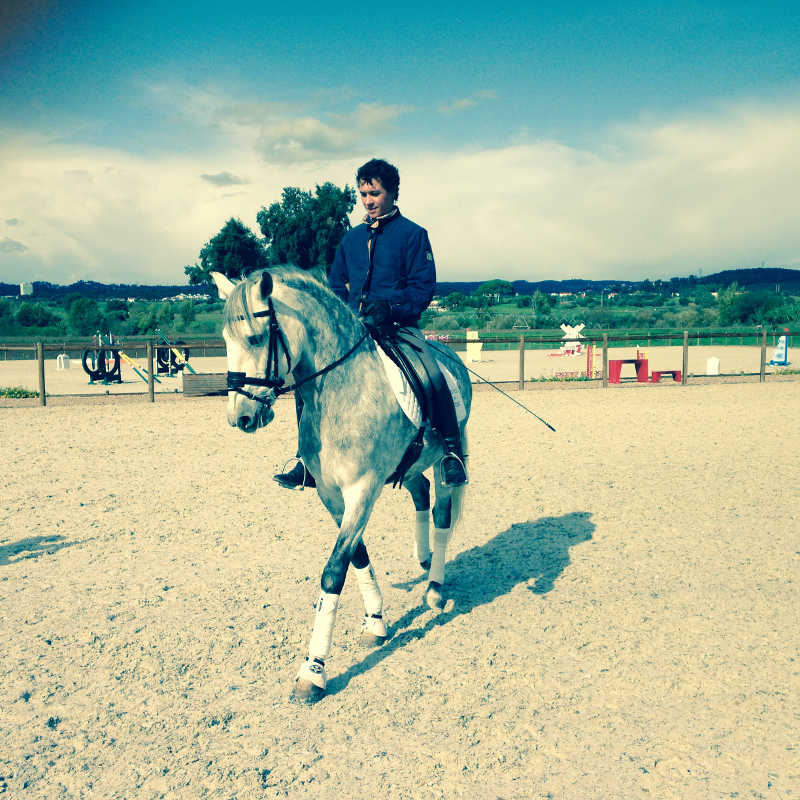 Lusitano koulu
