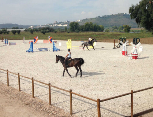 Vale de Ferreiros: estehevoset