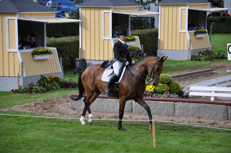 Dressyritävlingen