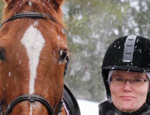 Hevosystäväni on iso ja lempeä hurmuri