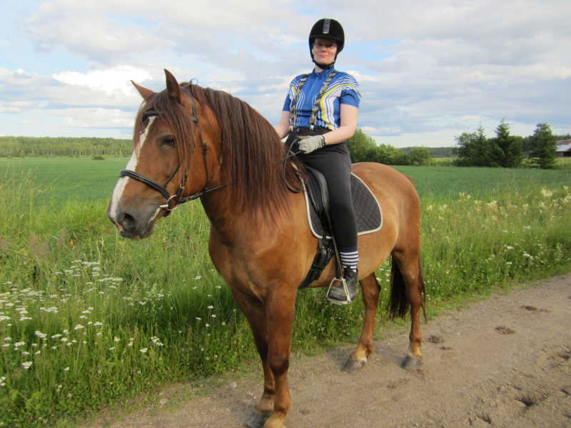 Lenkin jälkeen