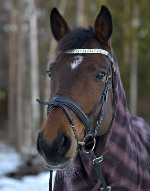 Vekkuli, kiltti Waldo