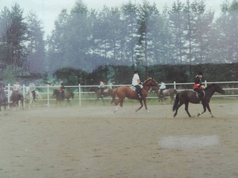 Ratsastustunti, Satu Pitkänen