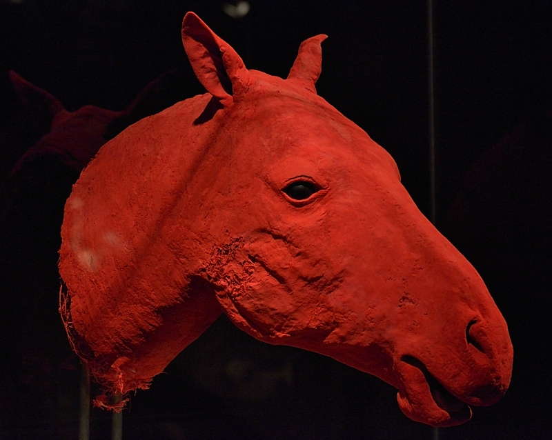 Hevosen-pään-verisuonisto