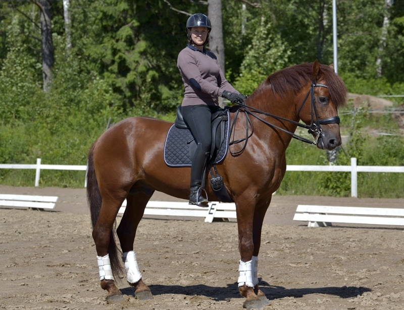 Katja-Kuokka-ja-Hessin-Leevi