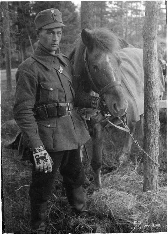 Sotahevonen-loimi