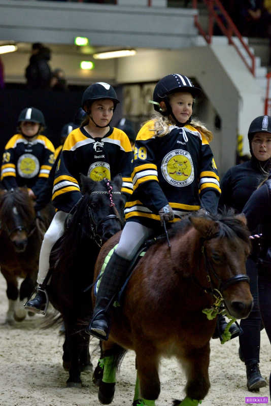 Ponitaivas-Horse-Show