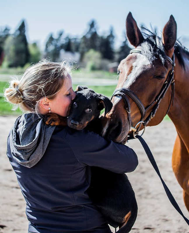 Suvi-Lahtinen-Momentum
