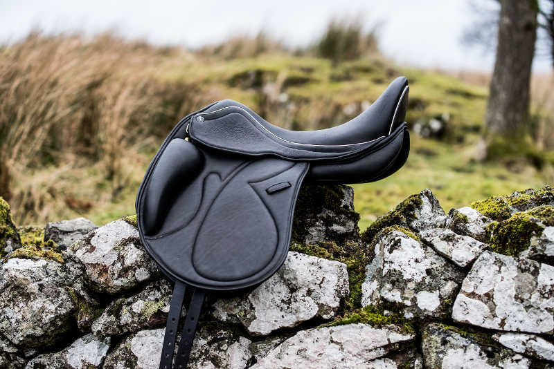Aiver-Luxe-Dressage