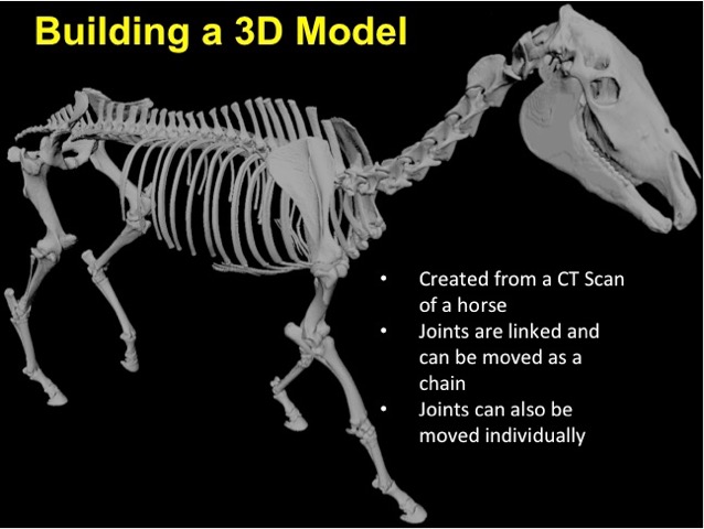 Horse-3D-model