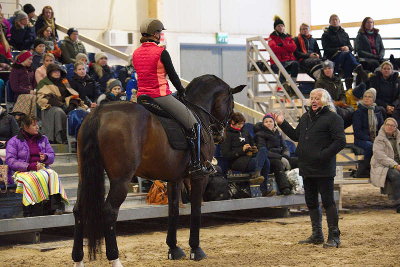 Horse-Rider-in-Motion