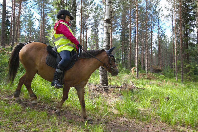 Alamäki