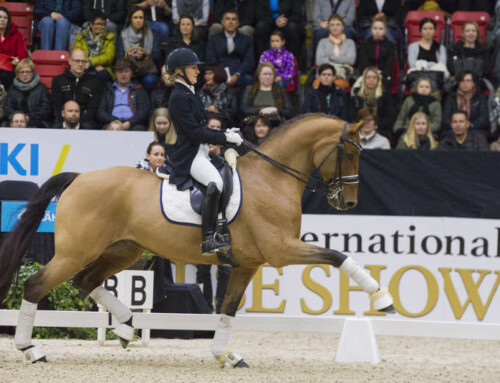 Voita liput Helsinki Horse Show’hun!