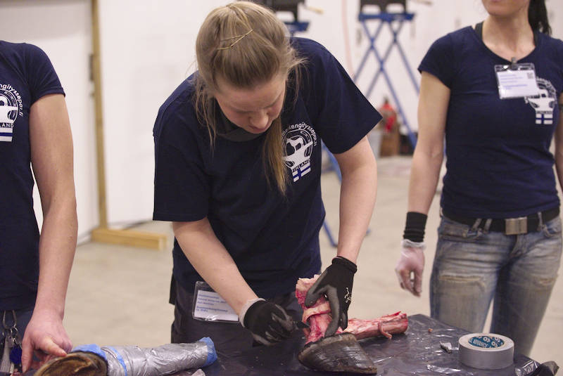 Mari-Nieminen-kavion-kimpussa